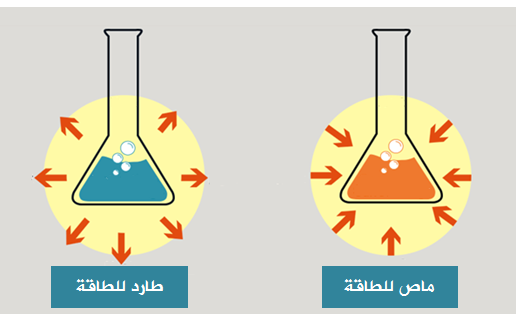 الفتاعلات الماصة والطاردة للطاقة